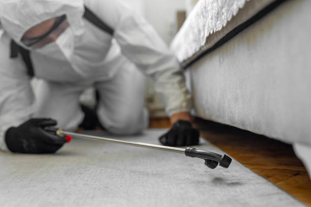 Professional Termite Control technician working in Austin, MN
