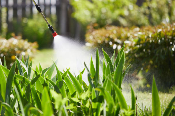 24/7 Emergency Termite Control experts in Austin, MN