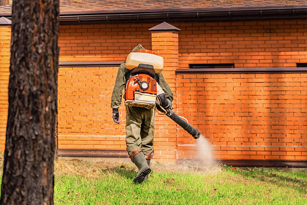 Top rated local Termite Control specialists in Austin, MN
